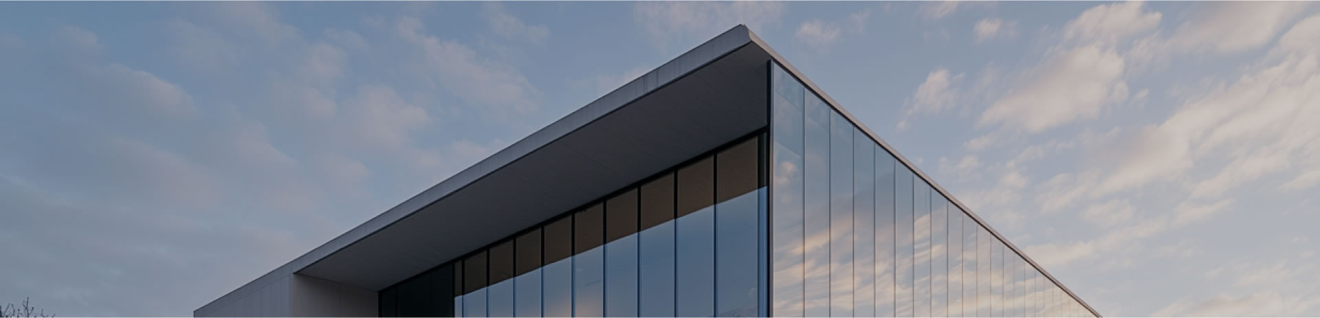 公司概況 公司概況